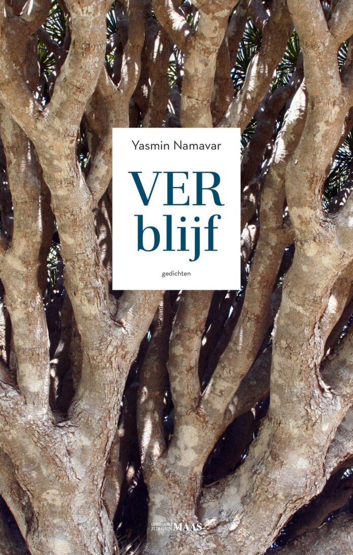 Verblijf van Yasmin Namavar